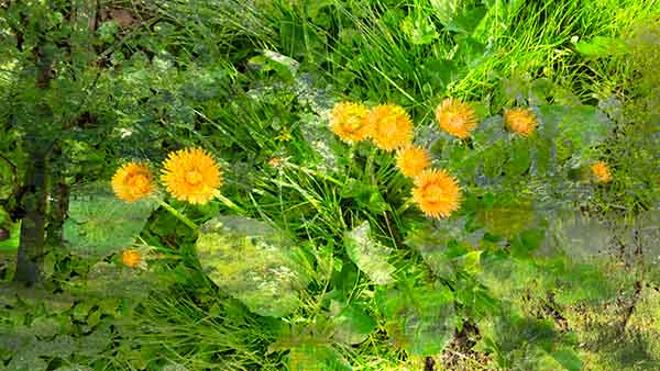 188-sverige-DSC04388